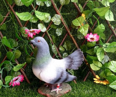 花園農(nóng)場玻璃鋼樹脂工藝仿真動物鴿子雕塑